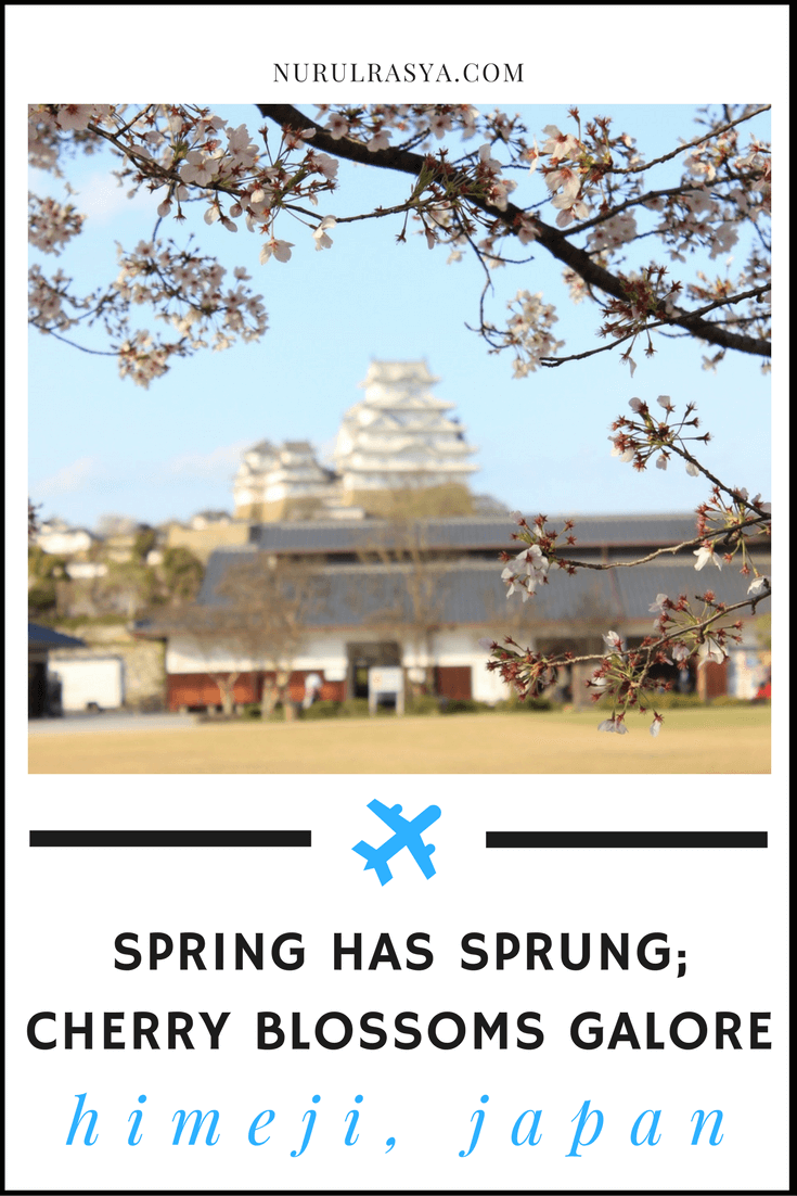 Himeji In Spring 9 himeji spring sakura photos