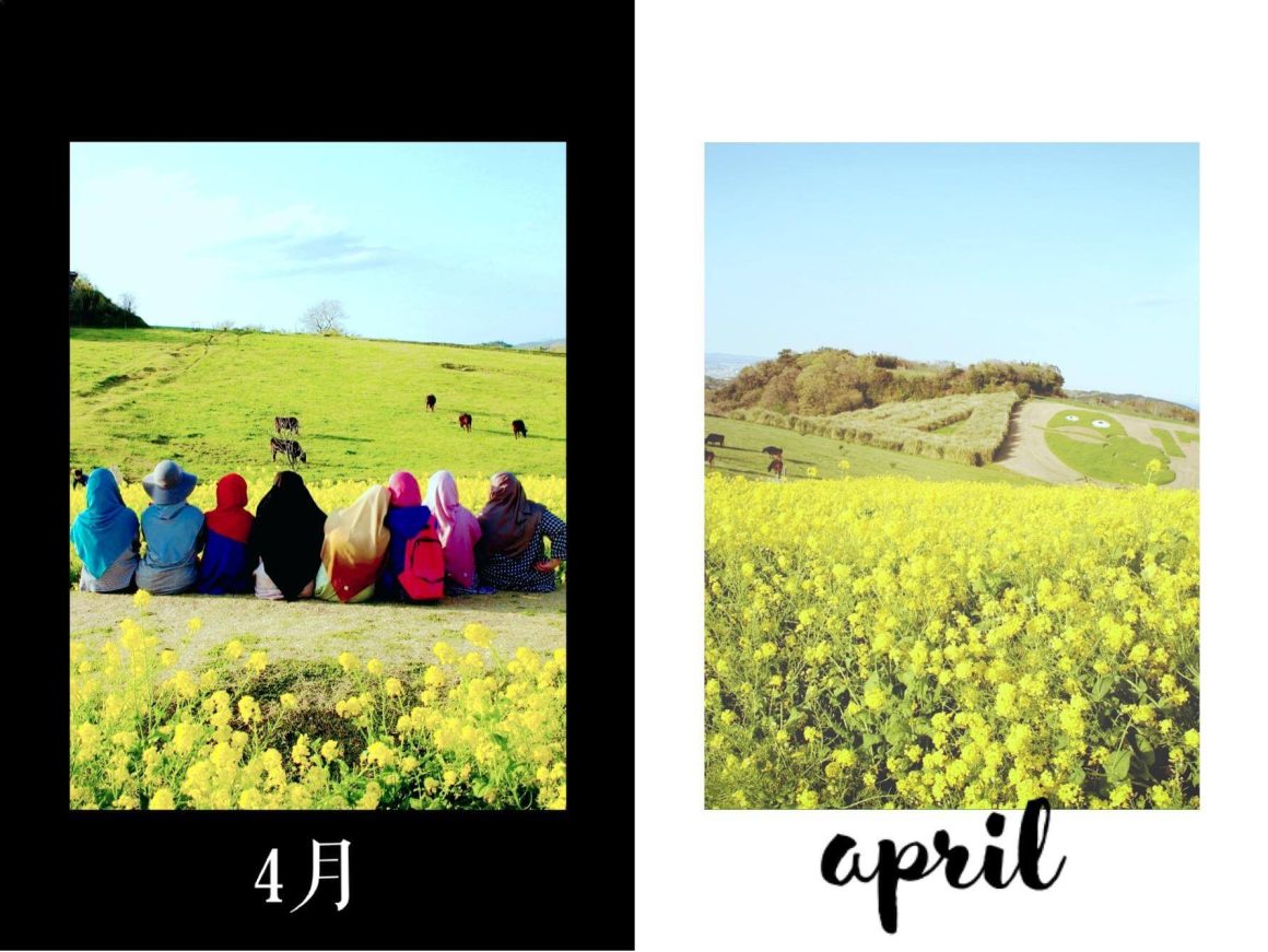 March And April In Retrospect