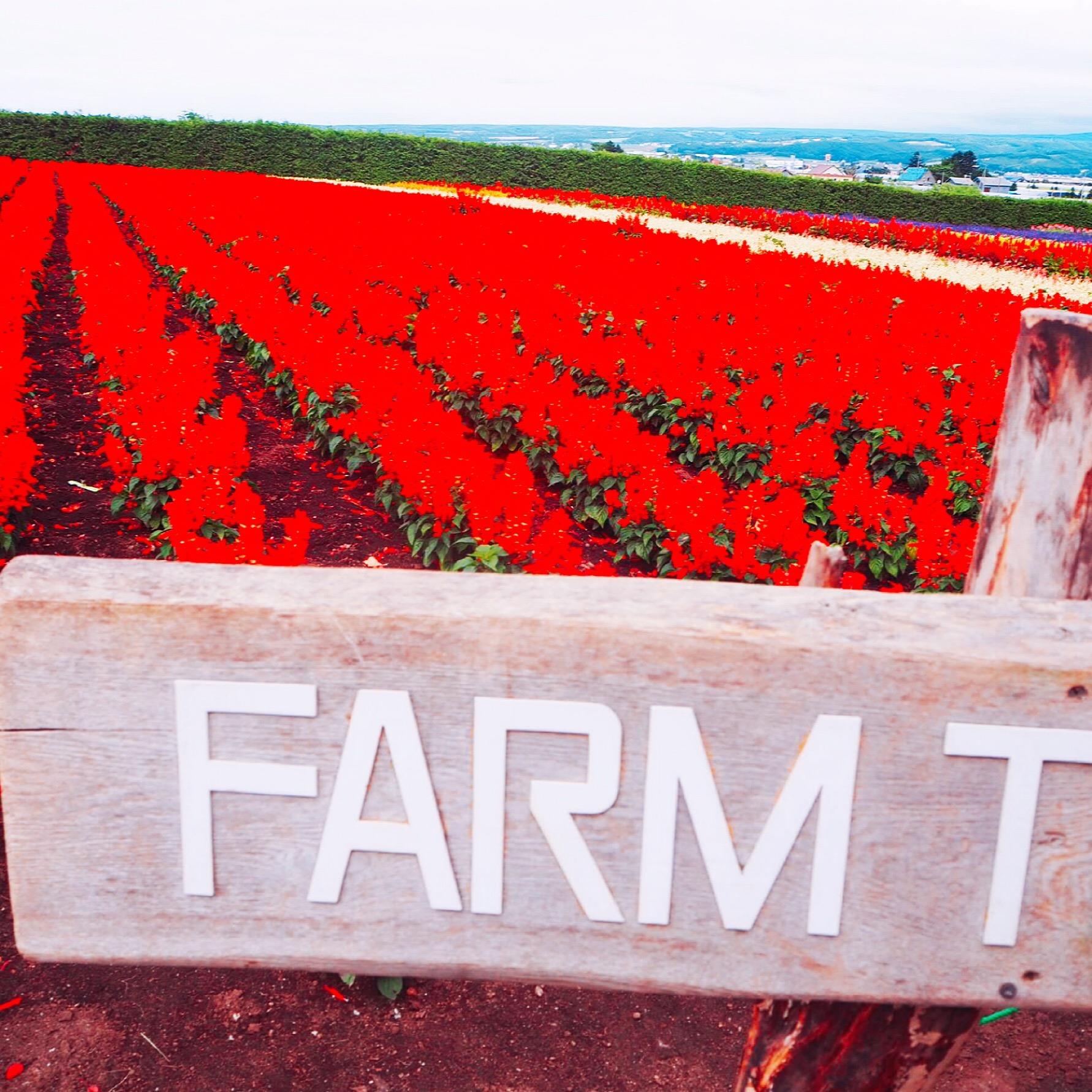 Hokkaido Summer Trip | Flower Hunting Feat Delicious Food & Soft Cream 29 hAFUBAAAAAAAAAAAAAAAAAAAAAAAAAAAAAAAAAAAAAAAAAAAAAAAAAAAAAAAAAAAAAAAAAAAAAAAAAAAAAAAAAAAAAAAAAAAAAAAAAAAAAAAAAAAAAAAAAAAAAAAAAAAAAAAAAAAAAAAAAAAAAAAAAAAAAAAAAAAAAAAAAAAAAAAAAAAAAAAAAAAAAAAAAAAAAAAAAAAAAAAAAAAAAAAAAAAAAAAAAAAAAAAAAAAAAAAAAAAAAAAAAAAAAAAAAAAAAAAAAAAAAAAAAAAAAAAAAAAAAAAAAAAAAAAAAAAAAAAAAAAAAAAAAAAAAAAAAAAAAAAAAAAAAAAAAAAAAAAAAAAAAAAAAAAAAAAAAAAAAAAAAAAAAAAAAAAAAAAAAAAAAAAAAAAAAAAAAAAAAAAAAAAAAAAAAAAAAAAAAAAAAAAAAAAAAAAAAAAAAAAAAAAAAAAAAAAAAAAAAAAAAAAAAAAAAAAAAAAAAAAAAAAAAAAAAAAAAAAAAAAAAAAAAAAAAAAAAACvAReaAAG5zEMsAAAAAElFTkSuQmCC