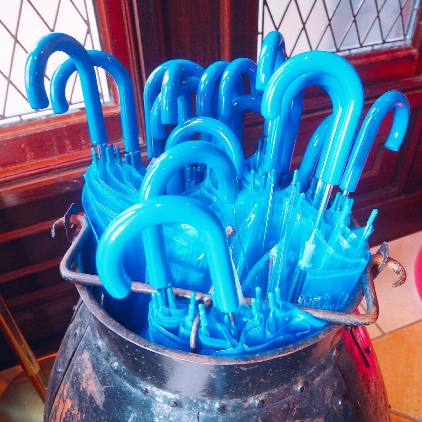 Hokkaido Summer Trip | Flower Hunting Feat Delicious Food & Soft Cream 16 hAFUBAAAAAAAAAAAAAAAAAAAAAAAAAAAAAAAAAAAAAAAAAAAAAAAAAAAAAAAAAAAAAAAAAAAAAAAAAAAAAAAAAAAAAAAAAAAAAAAAAAAAAAAAAAAAAAAAAAAAAAAAAAAAAAAAAAAAAAAAAAAAAAAAAAAAAAAAAAAAAAAAAAAAAAAAAAAAAAAAAAAAAAAAAAAAAAAAAAAAAAAAAAAAAAAAAAAAAAAAAAAAAAAAAAAAAAAAAAAAAAAAAAAAAAAAAAAAAAAAAAAAAAAAAAAAAAAAAAAAAAAAAAAAAAAAAAAAAAAAAAAAAAAAAAAAAAAAAAAAAAAAAAAAAAAAAAAAAAAAAAAAAAAAAAAAAAAAAAAAAAAAAAAAAAAAAAAAAAAAAAAAAAAAAAAAAAAAAAAAAAAAAAAAAAAAAAAAAAAAAAAAAAAAAAAAAAAAAAAAAAAAAAAAAAAAAAAAAAAAAAAAAAAAAAAAAAAAAAAAAAAAAAAAAAAAAAAAAAAAAAAAAAAAAAAAAAAAAACvAReaAAG5zEMsAAAAAElFTkSuQmCC