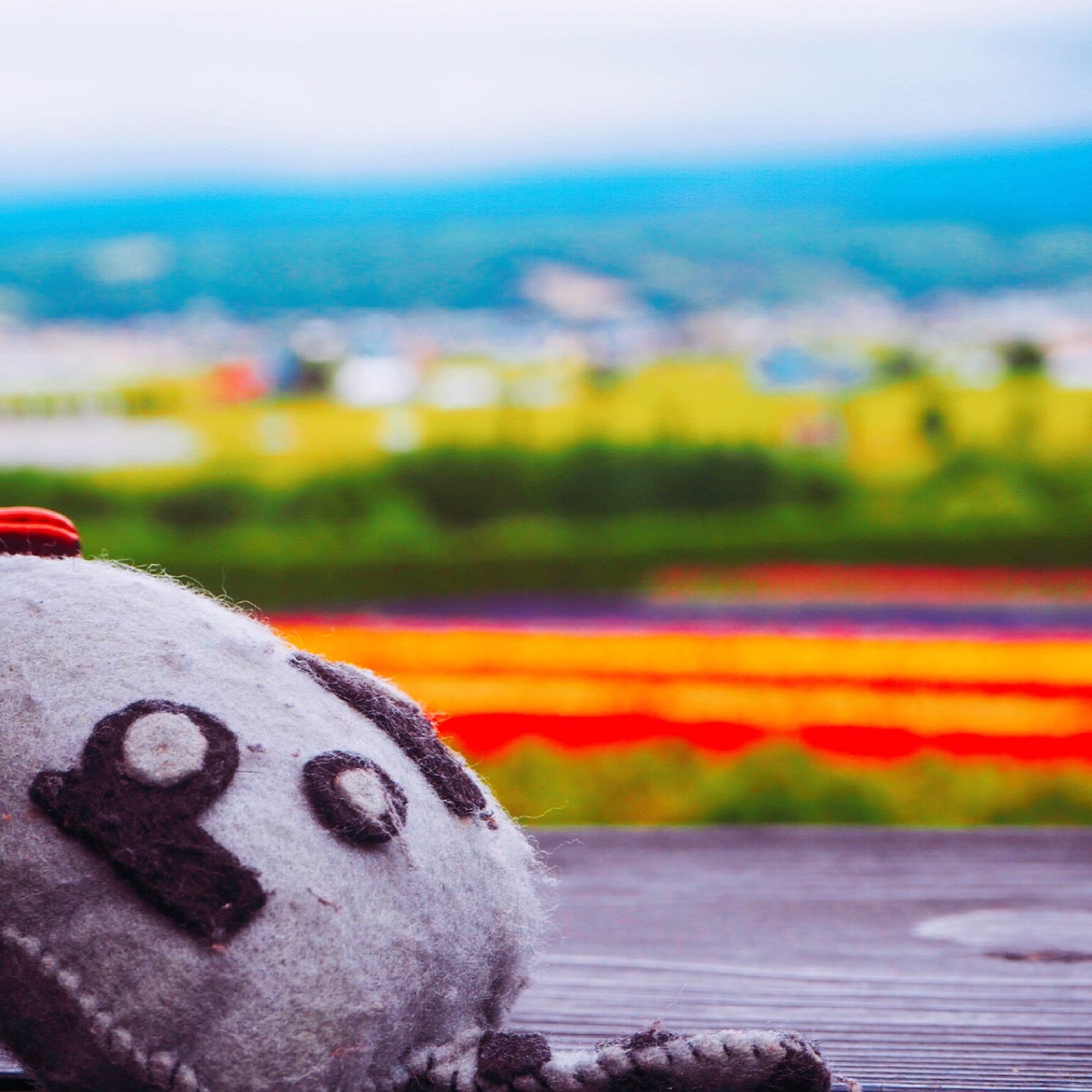 How I Get Into Photography Feat My Best Photos 20 hAFUBAAAAAAAAAAAAAAAAAAAAAAAAAAAAAAAAAAAAAAAAAAAAAAAAAAAAAAAAAAAAAAAAAAAAAAAAAAAAAAAAAAAAAAAAAAAAAAAAAAAAAAAAAAAAAAAAAAAAAAAAAAAAAAAAAAAAAAAAAAAAAAAAAAAAAAAAAAAAAAAAAAAAAAAAAAAAAAAAAAAAAAAAAAAAAAAAAAAAAAAAAAAAAAAAAAAAAAAAAAAAAAAAAAAAAAAAAAAAAAAAAAAAAAAAAAAAAAAAAAAAAAAAAAAAAAAAAAAAAAAAAAAAAAAAAAAAAAAAAAAAAAAAAAAAAAAAAAAAAAAAAAAAAAAAAAAAAAAAAAAAAAAAAAAAAAAAAAAAAAAAAAAAAAAAAAAAAAAAAAAAAAAAAAAAAAAAAAAAAAAAAAAAAAAAAAAAAAAAAAAAAAAAAAAAAAAAAAAAAAAAAAAAAAAAAAAAAAAAAAAAAAAAAAAAAAAAAAAAAAAAAAAAAAAAAAAAAAAAAAAAAAAAAAAAAAAAAACvAReaAAG5zEMsAAAAAElFTkSuQmCC