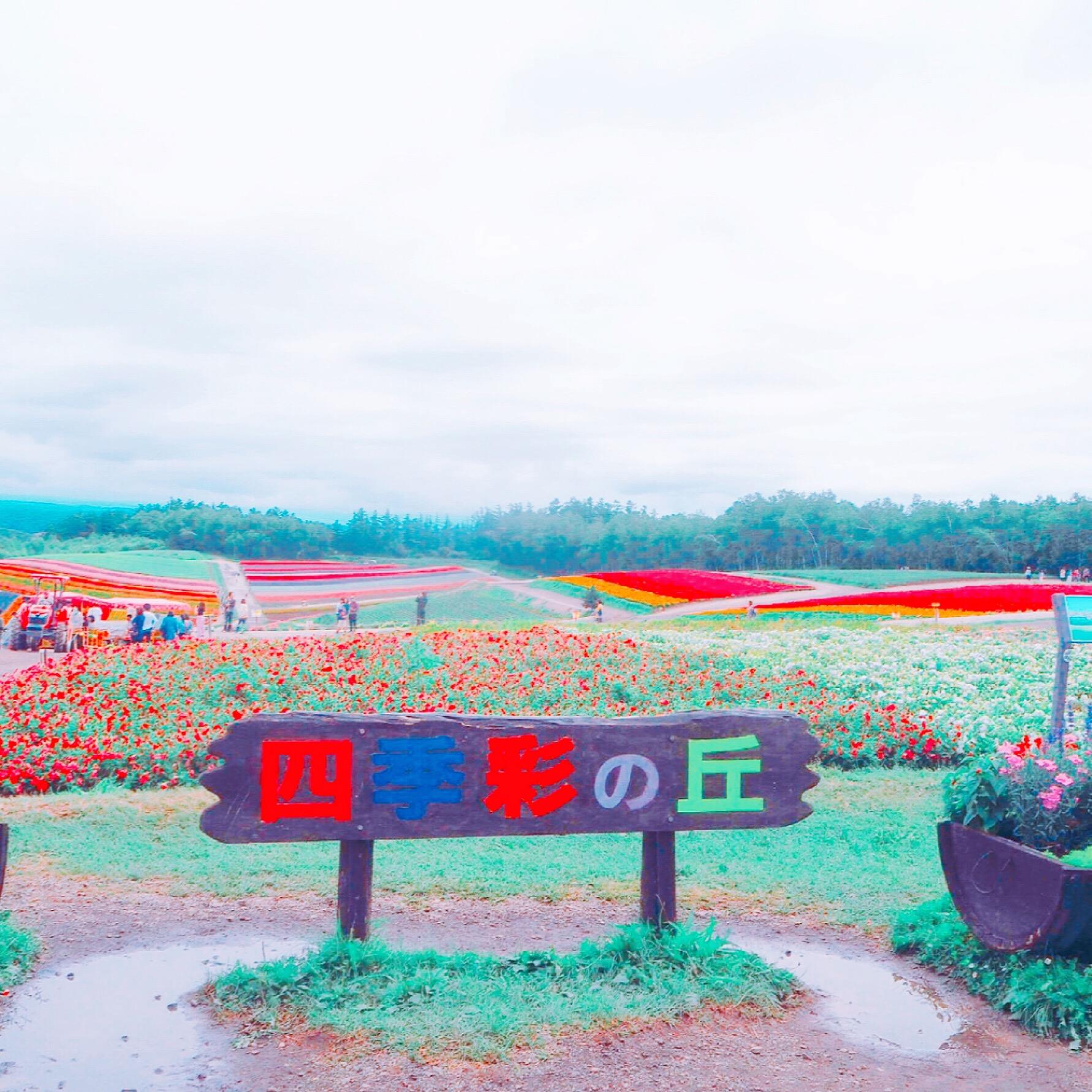 Hokkaido Summer Trip | Flower Hunting Feat Delicious Food & Soft Cream 24 hAFUBAAAAAAAAAAAAAAAAAAAAAAAAAAAAAAAAAAAAAAAAAAAAAAAAAAAAAAAAAAAAAAAAAAAAAAAAAAAAAAAAAAAAAAAAAAAAAAAAAAAAAAAAAAAAAAAAAAAAAAAAAAAAAAAAAAAAAAAAAAAAAAAAAAAAAAAAAAAAAAAAAAAAAAAAAAAAAAAAAAAAAAAAAAAAAAAAAAAAAAAAAAAAAAAAAAAAAAAAAAAAAAAAAAAAAAAAAAAAAAAAAAAAAAAAAAAAAAAAAAAAAAAAAAAAAAAAAAAAAAAAAAAAAAAAAAAAAAAAAAAAAAAAAAAAAAAAAAAAAAAAAAAAAAAAAAAAAAAAAAAAAAAAAAAAAAAAAAAAAAAAAAAAAAAAAAAAAAAAAAAAAAAAAAAAAAAAAAAAAAAAAAAAAAAAAAAAAAAAAAAAAAAAAAAAAAAAAAAAAAAAAAAAAAAAAAAAAAAAAAAAAAAAAAAAAAAAAAAAAAAAAAAAAAAAAAAAAAAAAAAAAAAAAAAAAAAAAACvAReaAAG5zEMsAAAAAElFTkSuQmCC