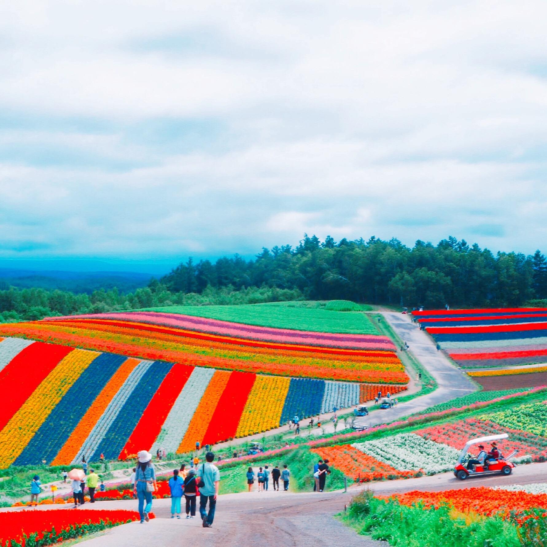 Hokkaido Summer Trip | Flower Hunting Feat Delicious Food & Soft Cream 25 hAFUBAAAAAAAAAAAAAAAAAAAAAAAAAAAAAAAAAAAAAAAAAAAAAAAAAAAAAAAAAAAAAAAAAAAAAAAAAAAAAAAAAAAAAAAAAAAAAAAAAAAAAAAAAAAAAAAAAAAAAAAAAAAAAAAAAAAAAAAAAAAAAAAAAAAAAAAAAAAAAAAAAAAAAAAAAAAAAAAAAAAAAAAAAAAAAAAAAAAAAAAAAAAAAAAAAAAAAAAAAAAAAAAAAAAAAAAAAAAAAAAAAAAAAAAAAAAAAAAAAAAAAAAAAAAAAAAAAAAAAAAAAAAAAAAAAAAAAAAAAAAAAAAAAAAAAAAAAAAAAAAAAAAAAAAAAAAAAAAAAAAAAAAAAAAAAAAAAAAAAAAAAAAAAAAAAAAAAAAAAAAAAAAAAAAAAAAAAAAAAAAAAAAAAAAAAAAAAAAAAAAAAAAAAAAAAAAAAAAAAAAAAAAAAAAAAAAAAAAAAAAAAAAAAAAAAAAAAAAAAAAAAAAAAAAAAAAAAAAAAAAAAAAAAAAAAAAAAACvAReaAAG5zEMsAAAAAElFTkSuQmCC