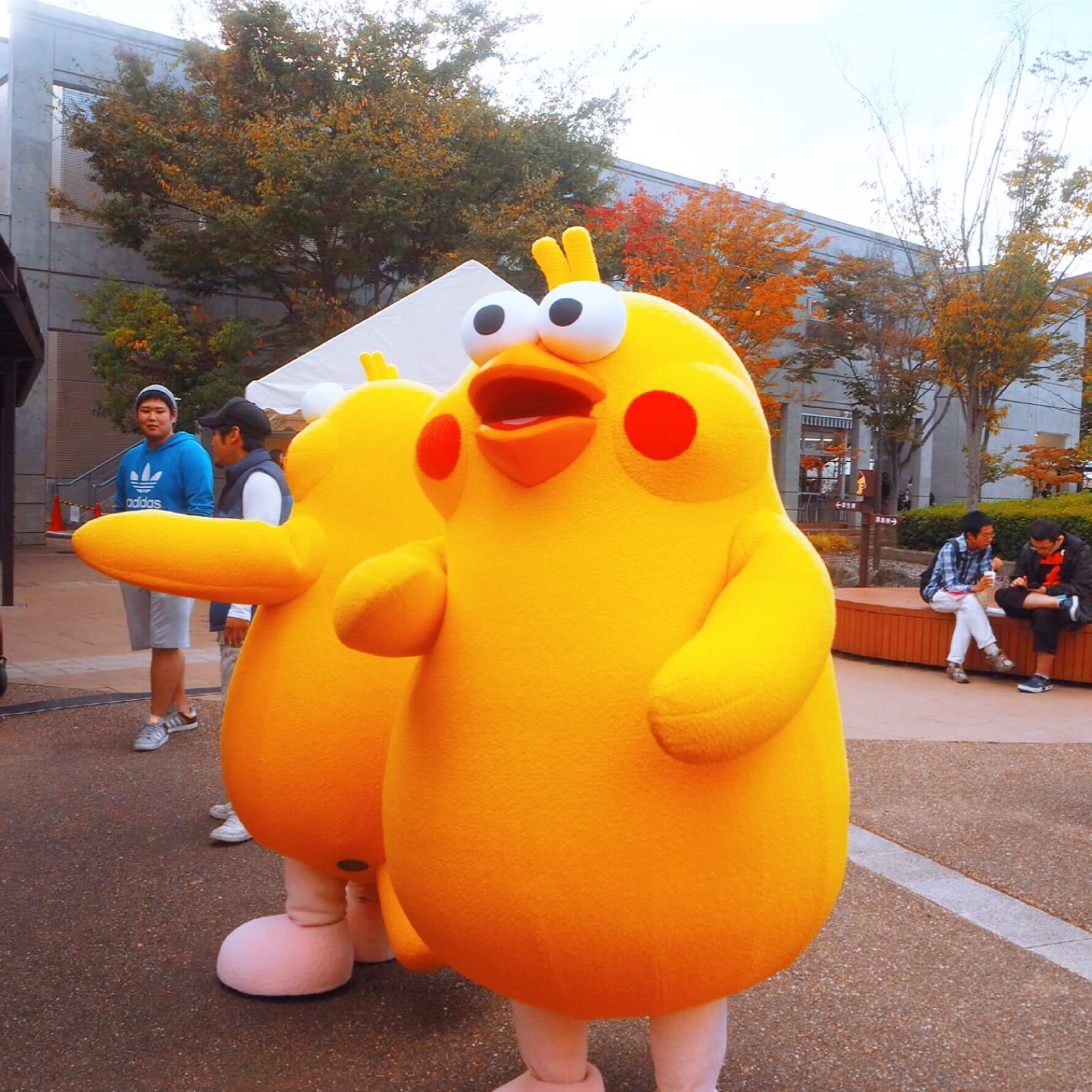 Life In Japan | Making The Most Of Last College Festival 14 college festival