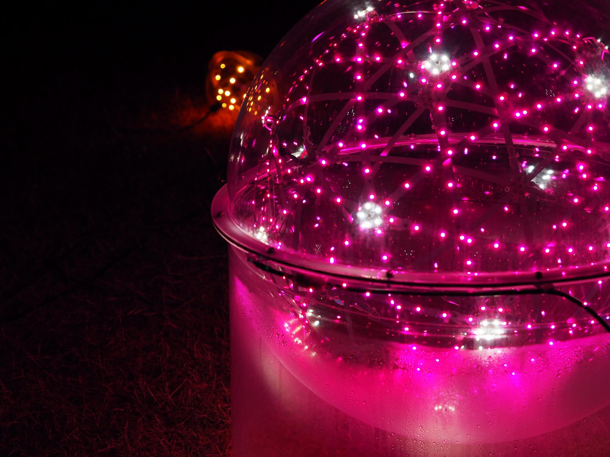 Life In Japan | Himeji In Autumn Feat Himeji Castle Illumination 15 autumn