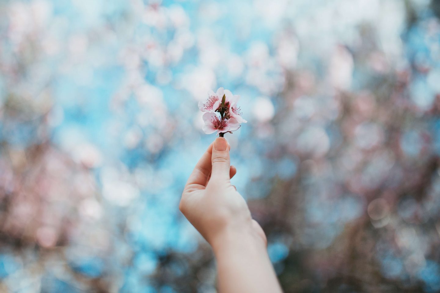 March Book Quotes For Spring | The Season Of Flowers 12 March Book Quotes For Spring | The Season Of Flowers