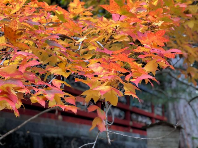 What Happened In October And November Feat Autumn Photos 7 autumn photos