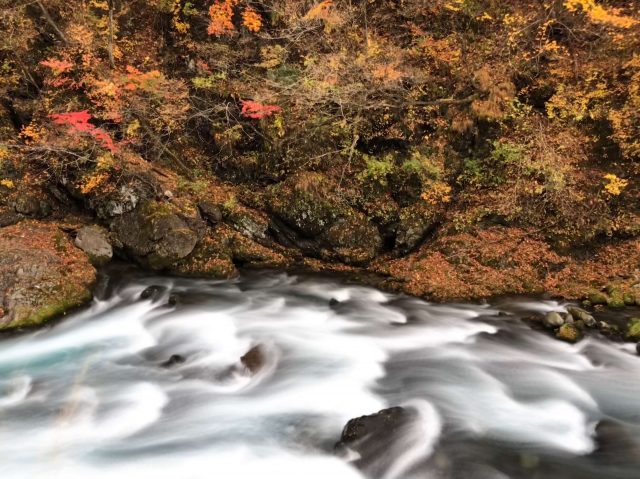 What Happened In October And November Feat Autumn Photos 6 autumn photos