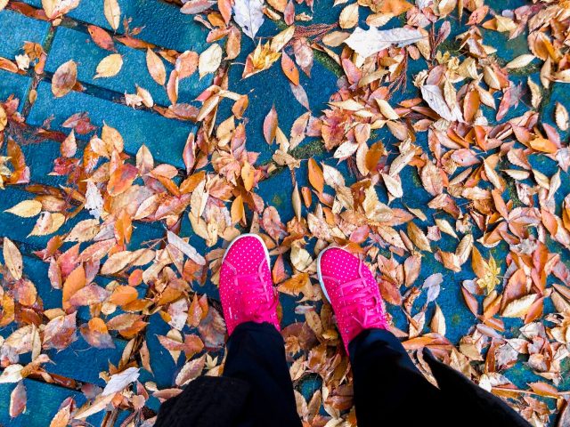 11 Reasons Why Autumn Is My Favourite Season 9 autumn photos