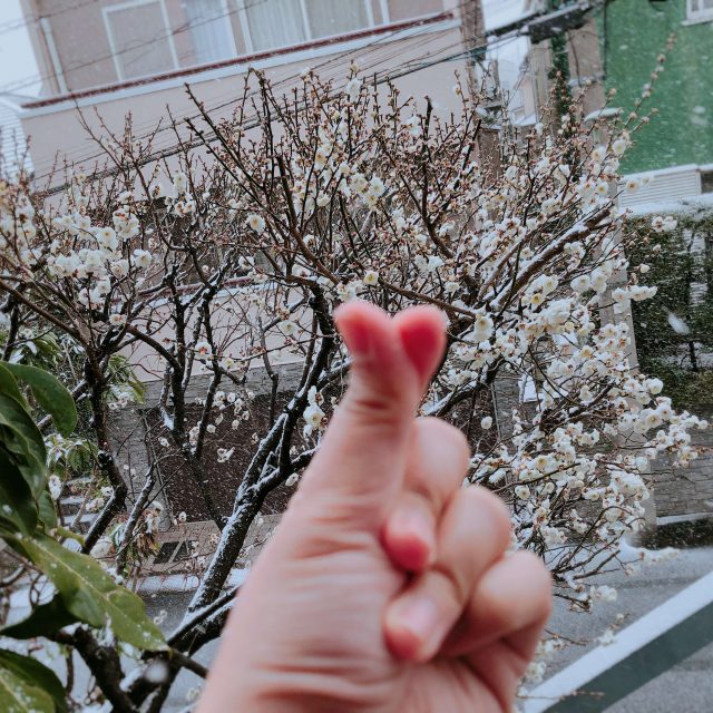 Influenza, Snow In Tokyo And A Cup Of Hot Chocolate 5 Giving hearts in a snowy day