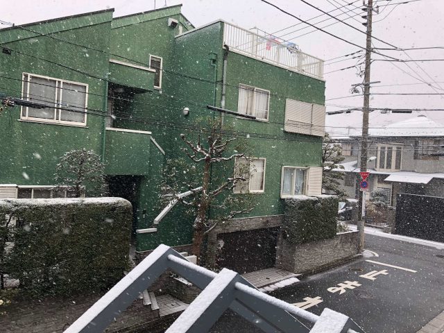 Influenza, Snow In Tokyo And A Cup Of Hot Chocolate 2 Snow In Tokyo Photo