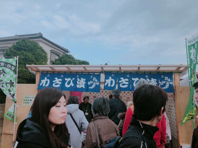 Early Flower Hunting | Kawazu Sakura Festival And Atami Plum Garden 14 Kawazu Sakura Festival