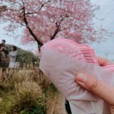 March and April in Retrospect Feat Cherry Blossoms Galore 9 cherry blossoms galore