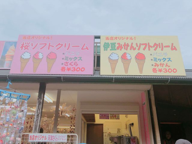 Early Flower Hunting | Kawazu Sakura Festival And Atami Plum Garden 12 Sakura soft cream