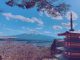 Chureito Pagoda And Mt. Fuji