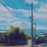 March and April in Retrospect Feat Cherry Blossoms Galore 27