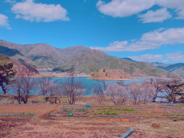 Mt. Fuji | A Must Visit If You Come To Japan 6