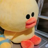 Harajuku LINE Friends Store Feat BTS BT21 Characters 14 LINE Friends Goods Sally