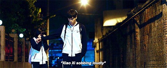 11 List of Chinese Novels Recommendation | Female MC 9 xiao xi and jiang chen