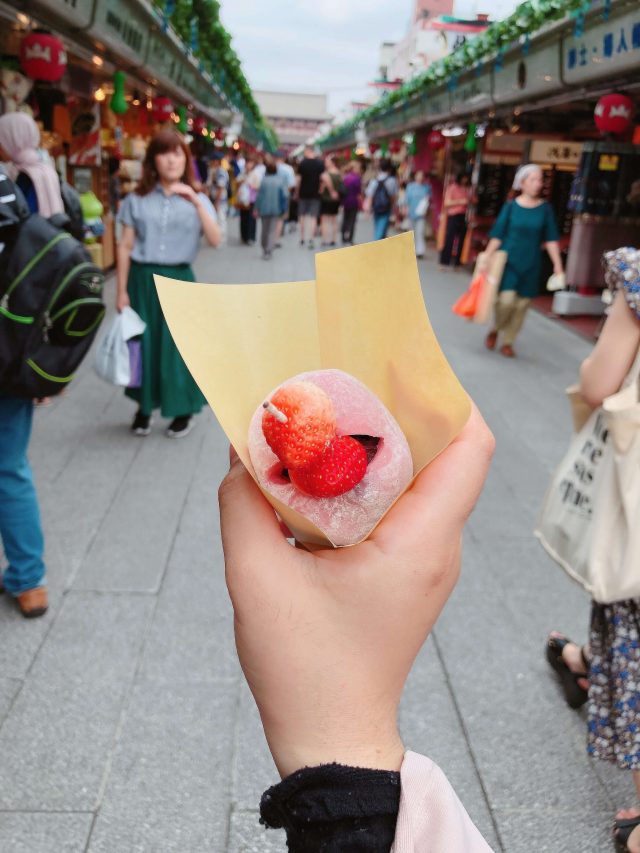 Back To Malaysia + Life Updates 3 Ichigo daifuku