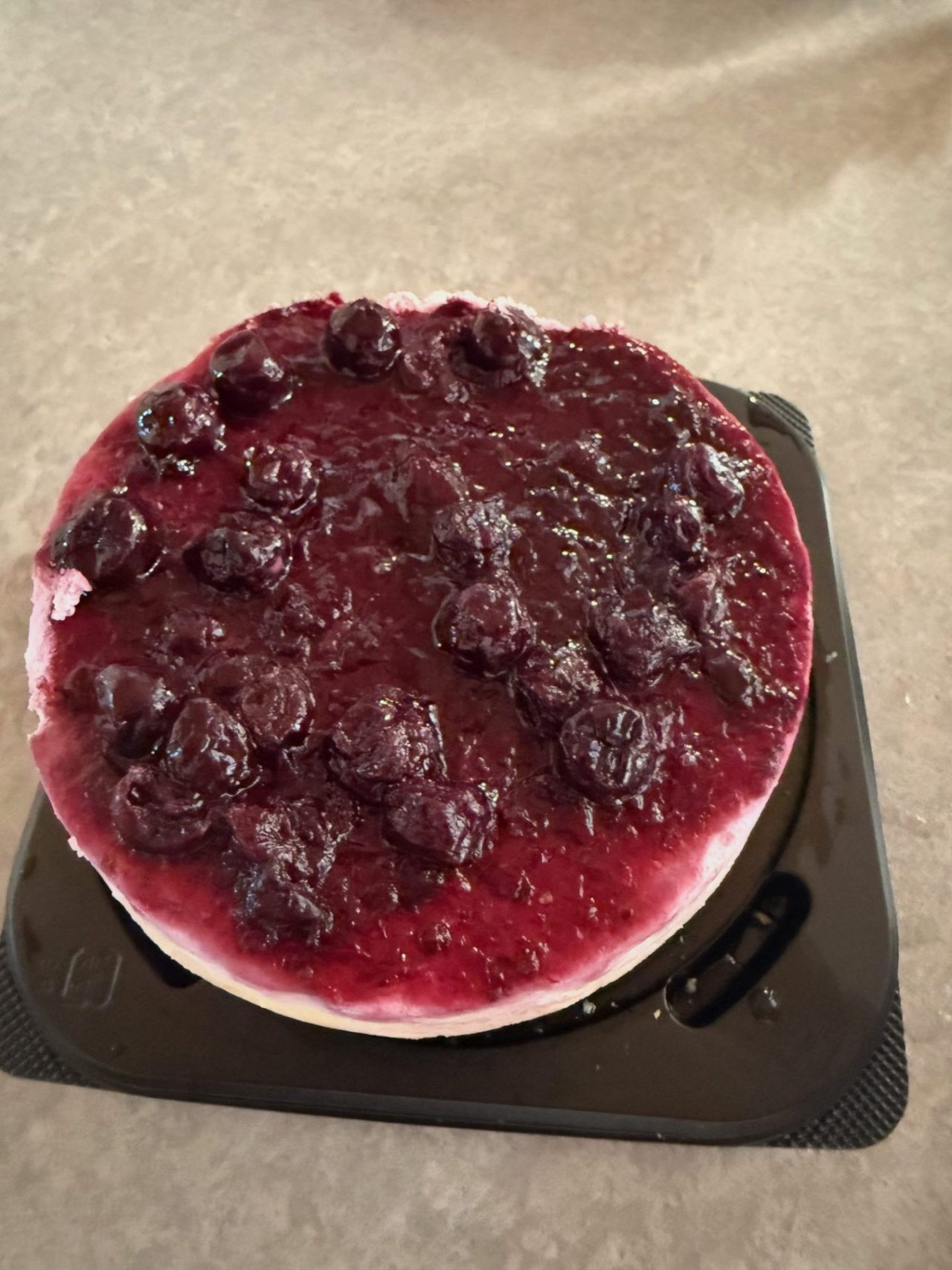Back in Japan for My PhD: 2024 Recap of New Challenge 20 blueberry cheesecake